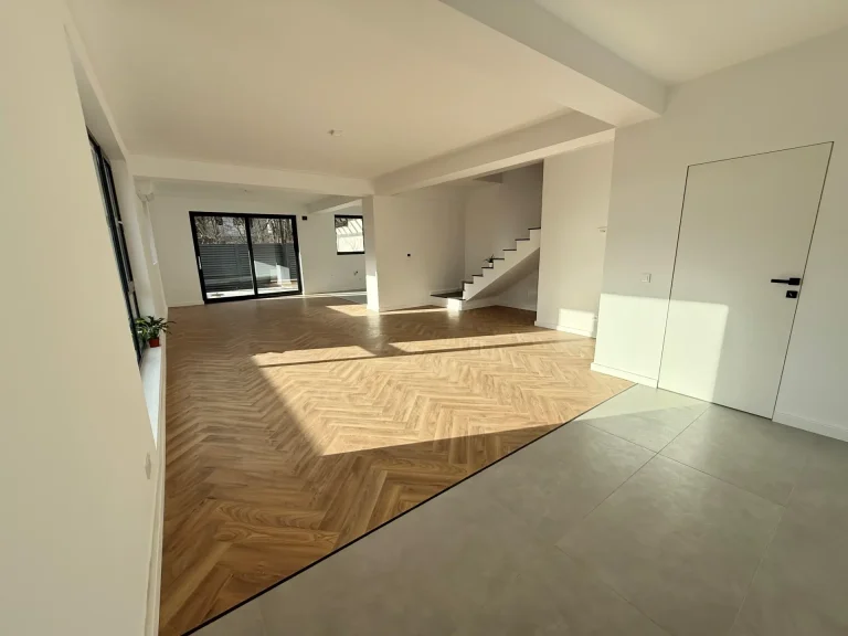 casa iancu nicolae vila de vanzare