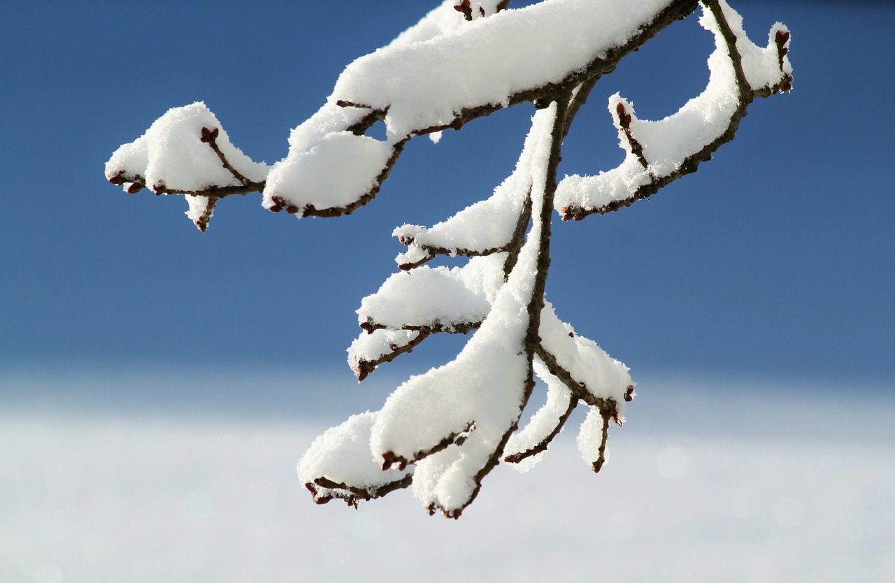 ce inseamna cand visezi ca ninge