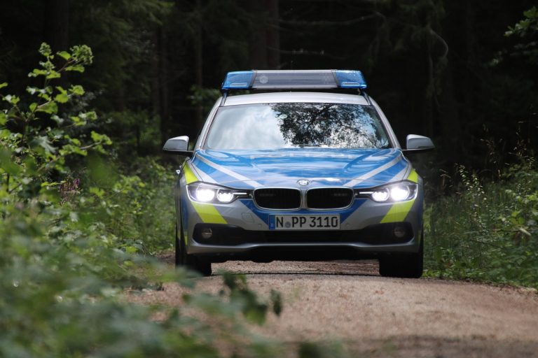 ce inseamna cand visezi politie