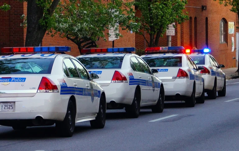 ce inseamna cand visezi politie multa