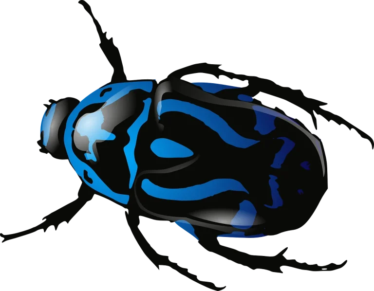 ce inseamna cand visezi insecte negre