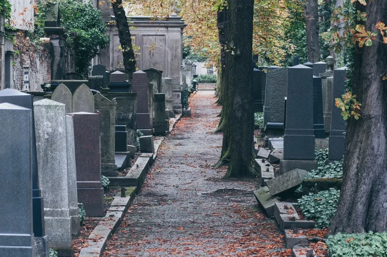 ce inseamna cand visezi lume multa la inmormantare
